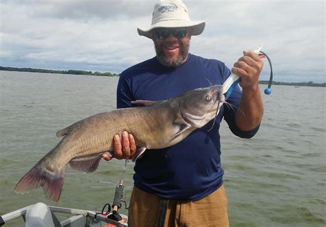 fishing for channel catfish